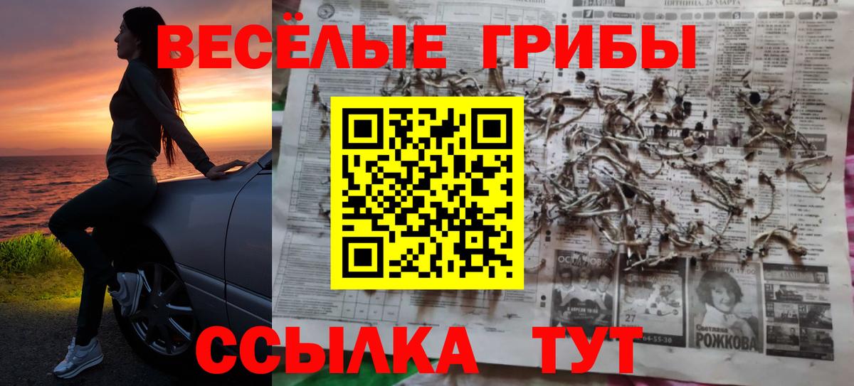 Псилоцибиновые грибы ЛСД Саров