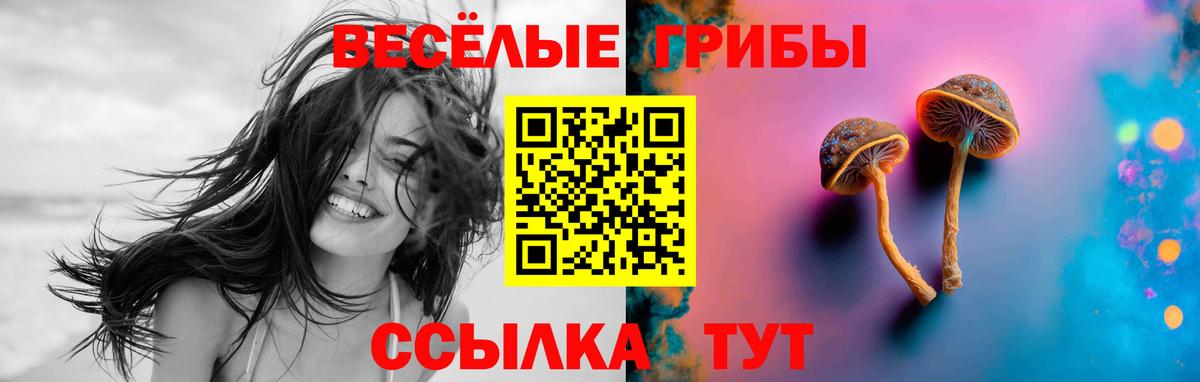 Саров  Галлюциногенные грибы MAGIC MUSHROOMS  наркошоп  Вход с VPN 
